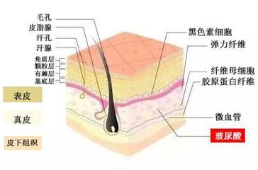 案例图片