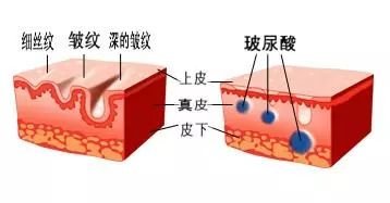 案例图片