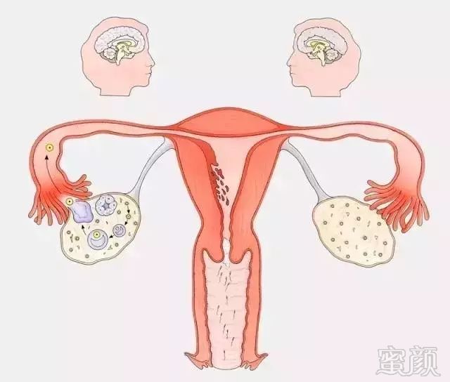 https://img.miyanlife.com/mnt/timg/181019/133219AS-2.jpg