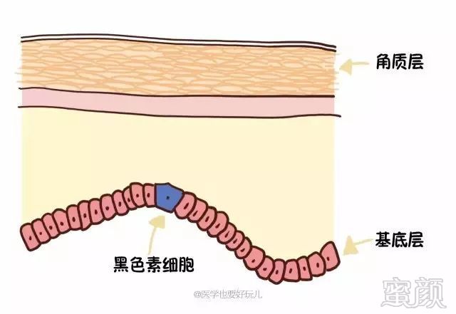 案例图片