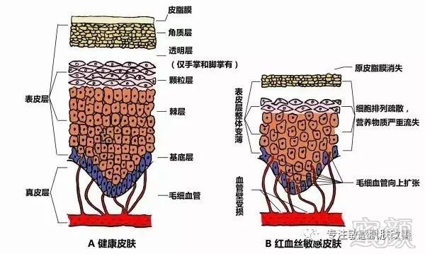 案例图片