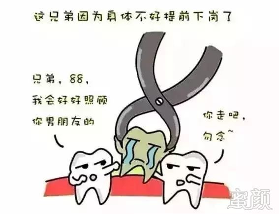 案例图片