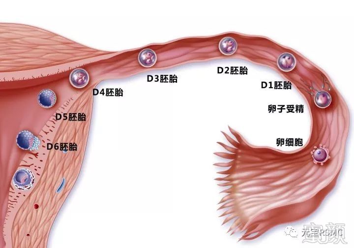 https://img.miyanlife.com/mnt/timg/181021/123T23533-3.jpg
