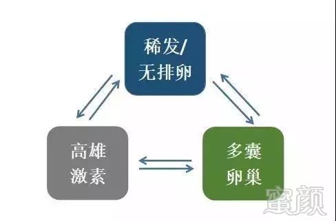 https://img.miyanlife.com/mnt/timg/181022/111QI526-4.jpg