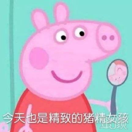 案例图片