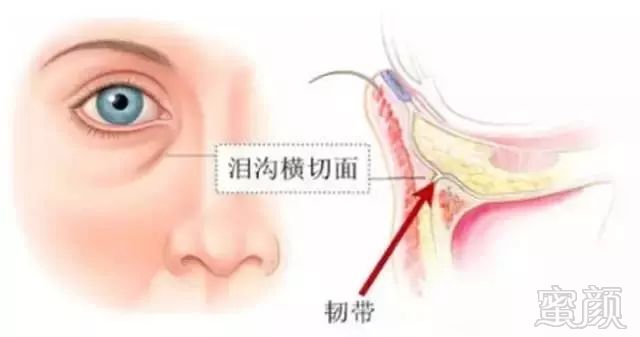 https://img.miyanlife.com/mnt/timg/181023/1220035464-9.jpg