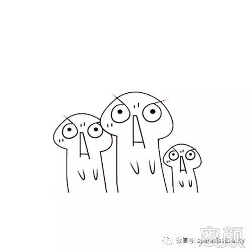 案例图片