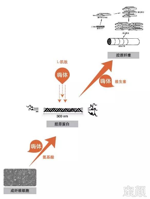 https://img.miyanlife.com/mnt/timg/181024/112R0N26-1.jpg