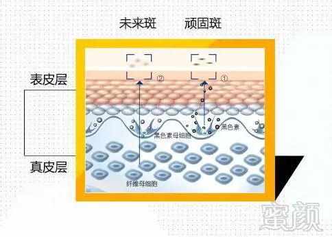 案例图片