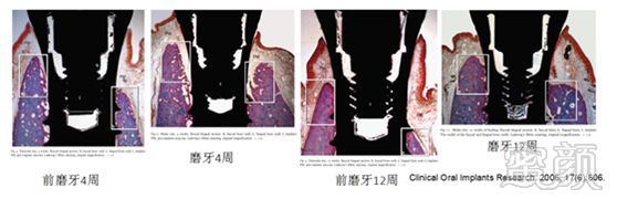 https://img.miyanlife.com/mnt/timg/181025/1224294X7-3.jpg
