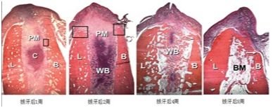 https://img.miyanlife.com/mnt/timg/181025/1224294a5-2.jpg