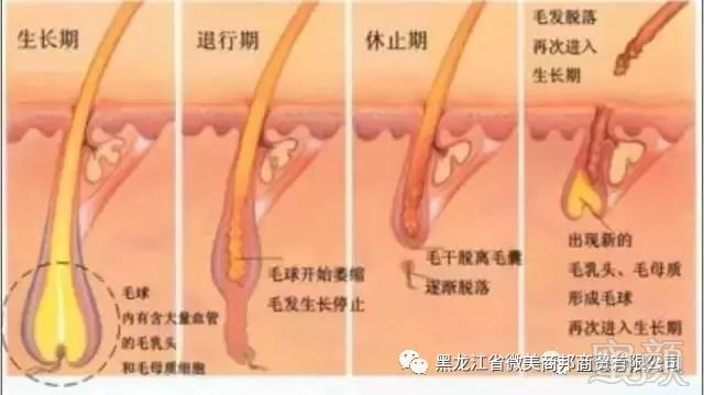 案例图片