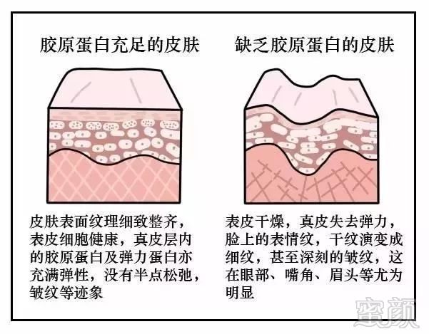 https://img.miyanlife.com/mnt/timg/181026/11220641S-0.jpg