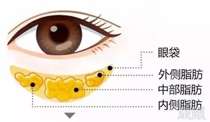 https://img.miyanlife.com/mnt/timg/181026/1321295262-4.jpg