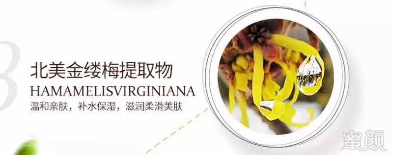https://img.miyanlife.com/mnt/timg/181027/124UI054-10.jpg