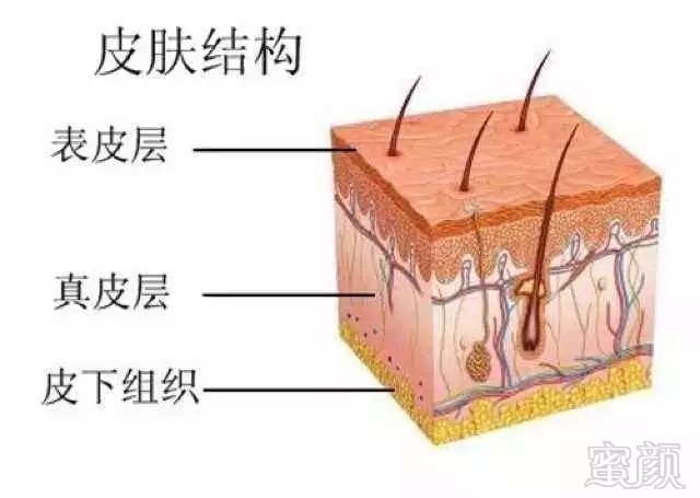 案例图片