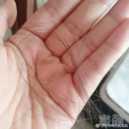 https://img.miyanlife.com/mnt/timg/181028/091014K91-6.jpg