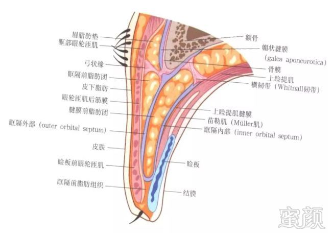 案例图片