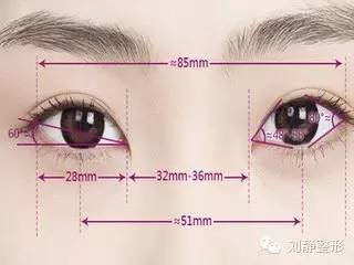 https://img.miyanlife.com/mnt/timg/181029/122TV253-0.jpg