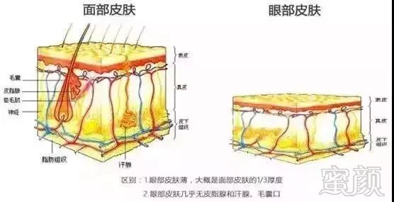 案例图片