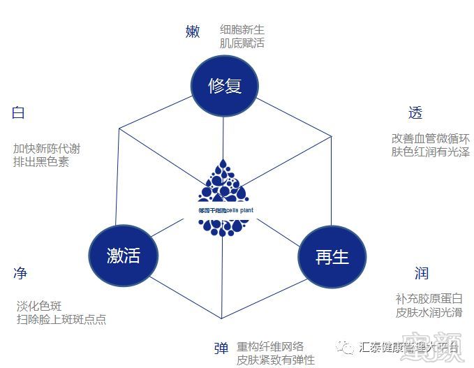 案例图片