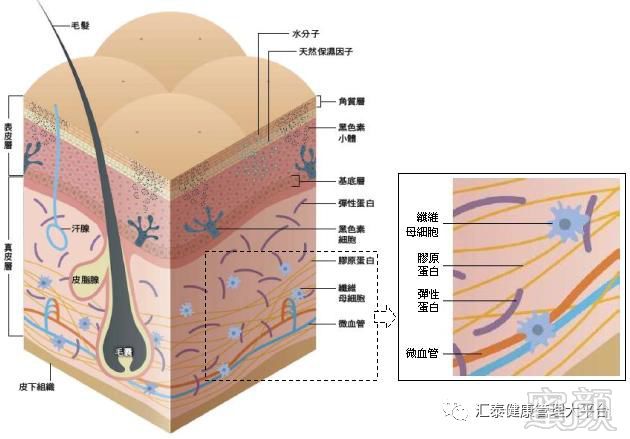 案例图片