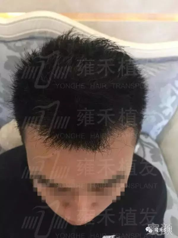 https://img.miyanlife.com/mnt/timg/181031/1201525T6-5.jpg