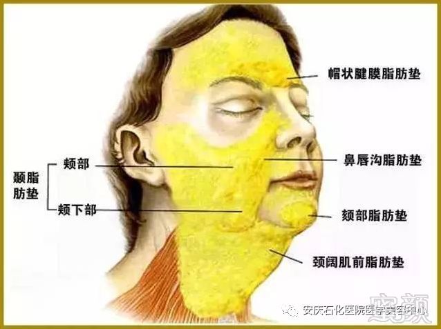 https://img.miyanlife.com/mnt/timg/181031/12242W443-4.jpg