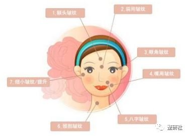 https://img.miyanlife.com/mnt/timg/181103/11112560H-3.jpg