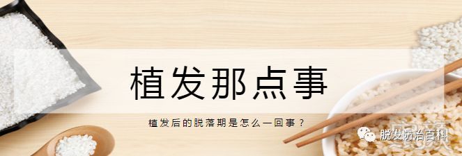 https://img.miyanlife.com/mnt/timg/181104/1231321a2-0.jpg
