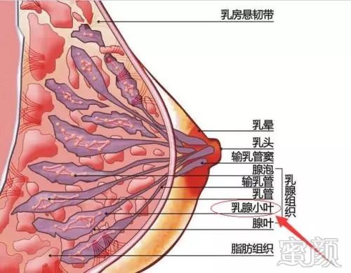 案例图片