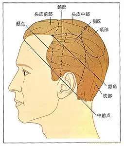 https://img.miyanlife.com/mnt/timg/181107/112Z931P-1.jpg