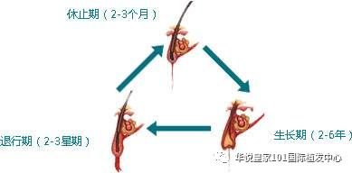 https://img.miyanlife.com/mnt/timg/181108/122024AG-1.jpg