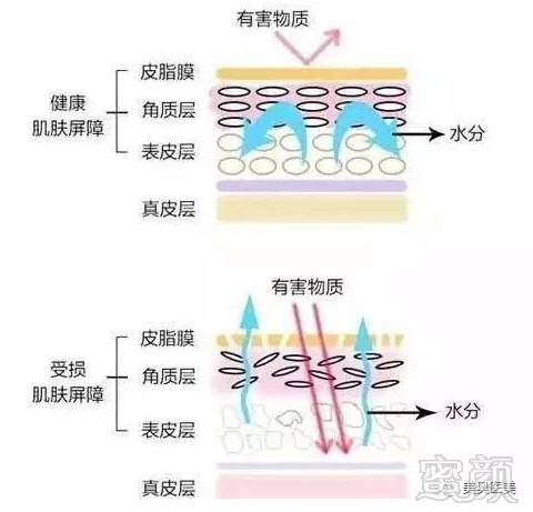 案例图片