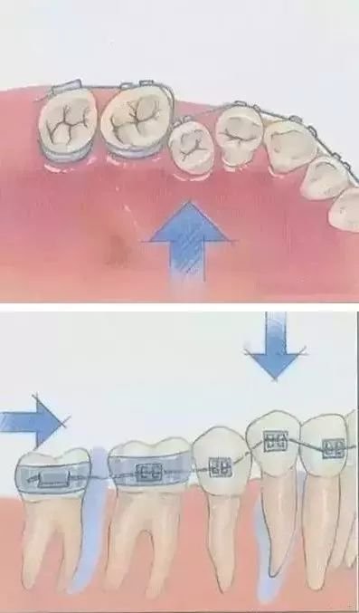 案例图片