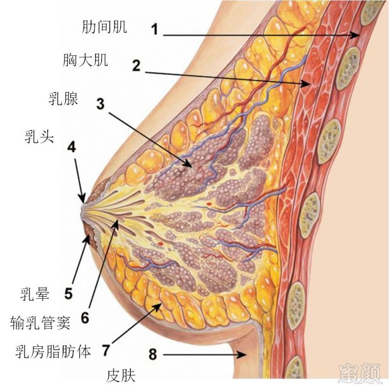 案例图片