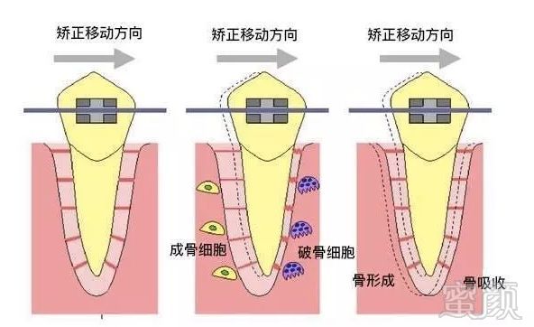 案例图片