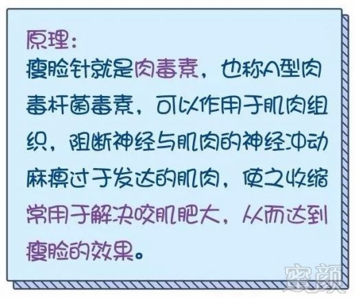 https://img.miyanlife.com/mnt/timg/181116/1122561a2-2.jpg