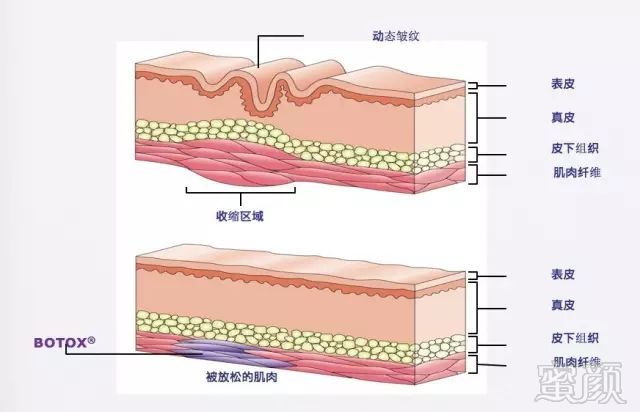 https://img.miyanlife.com/mnt/timg/181116/1200521554-2.jpg