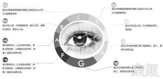 案例图片