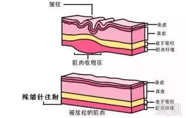 案例图片