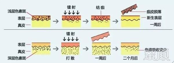 案例图片