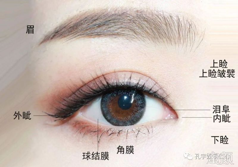 https://img.miyanlife.com/mnt/timg/181119/113P625I-0.jpg