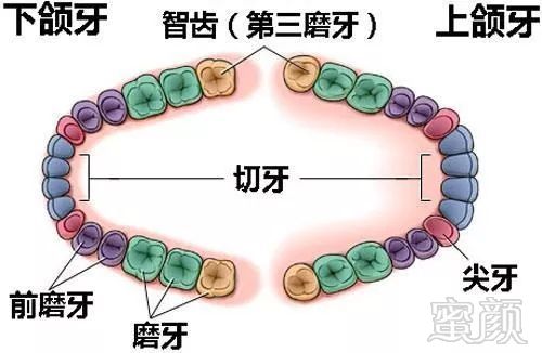 案例图片