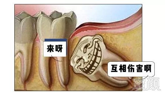 案例图片