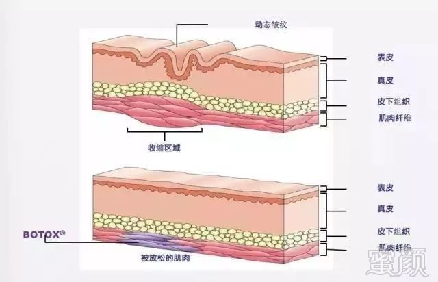 https://img.miyanlife.com/mnt/timg/181120/11535I029-5.jpg