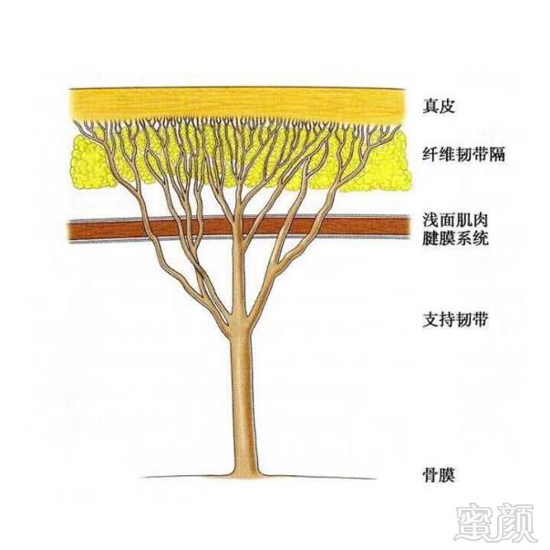 https://img.miyanlife.com/mnt/timg/181120/120K45302-1.jpg