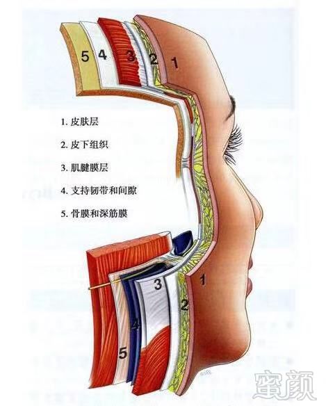 https://img.miyanlife.com/mnt/timg/181120/120K45R2-0.jpg