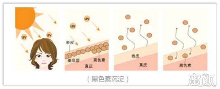 案例图片