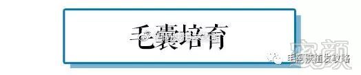 https://img.miyanlife.com/mnt/timg/181121/1221443L4-2.jpg